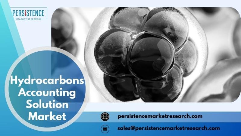 Hydrocarbons Accounting Solution Market