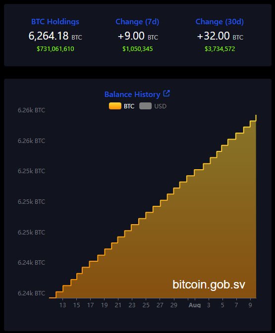El Salvador Pushes Forward With Plans for World’s First Bitcoin Bank 2 el salvador bitcoin holdings 9 august 2025