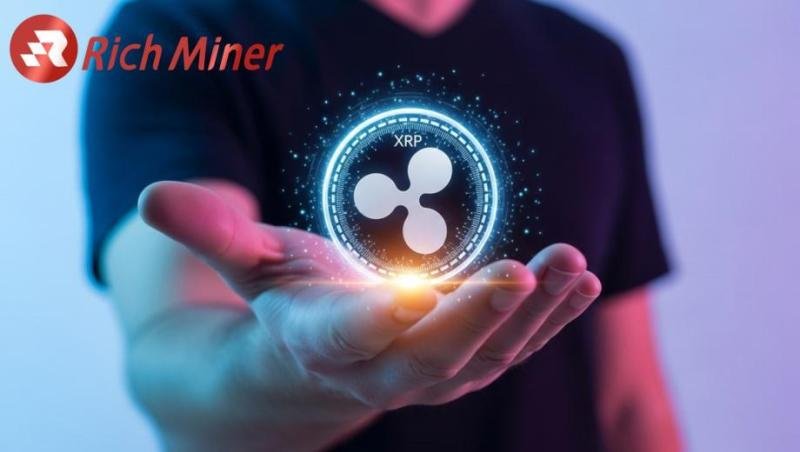 Trusted XRP cloudmining platform - RICH Miner converts your XRP